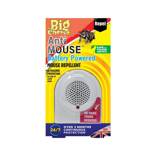 Big cheese anti mouse - cheese,