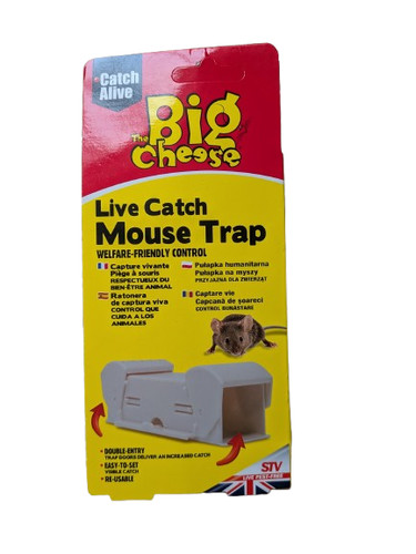 The big cheese - the,