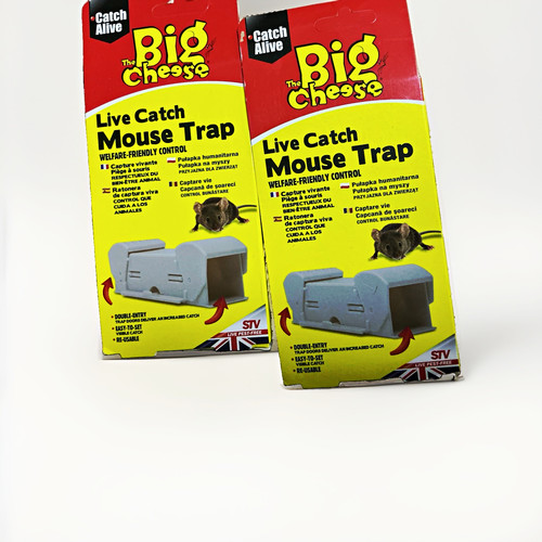 New the big - live, catch