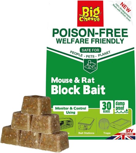 The big cheese poison free - cheese, poison-free