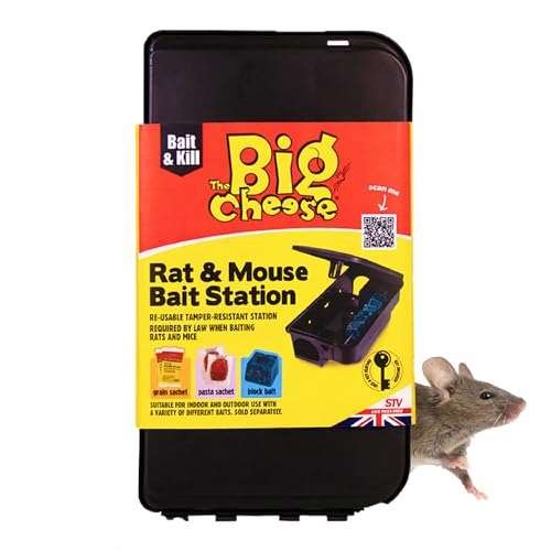 The big cheese - the, rat