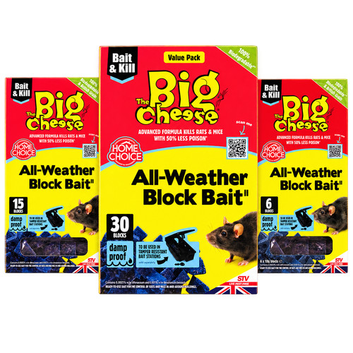 Big cheese professional - cheese, stv