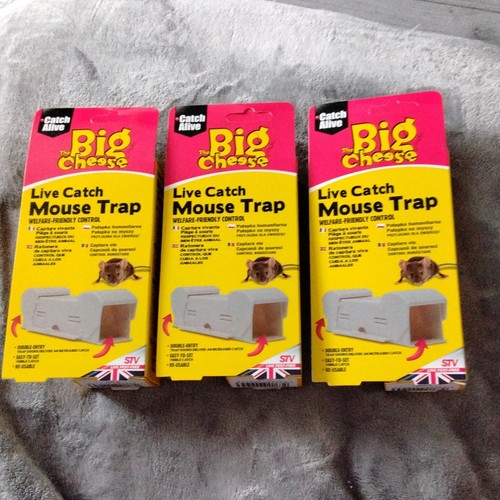 Big cheese live catch - 3x,