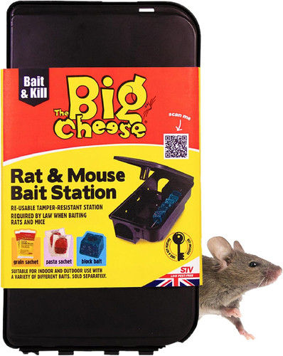 The big cheese - big,