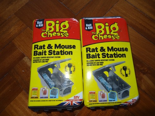 Big cheese rat mouse bait - rat,