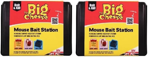 The big cheese mouse bait - big,