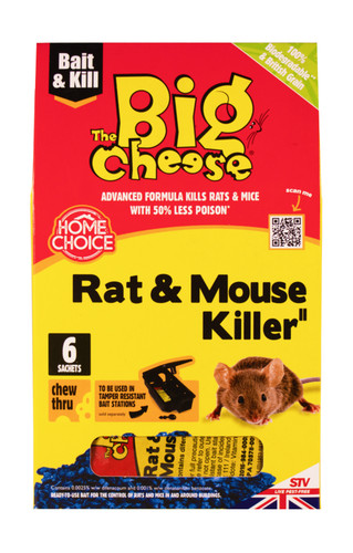 The big cheese rat - big, killer