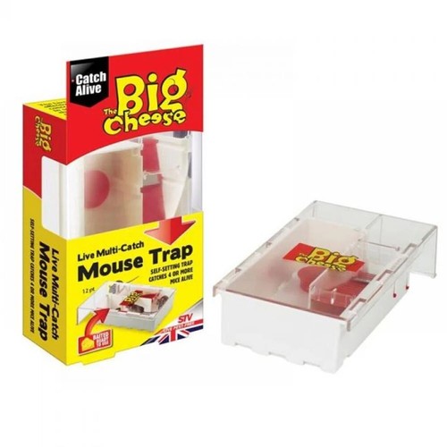 The big cheese - the, multi