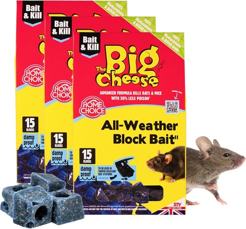 The big cheese all weather - big,