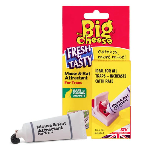 The big cheese - the, &
