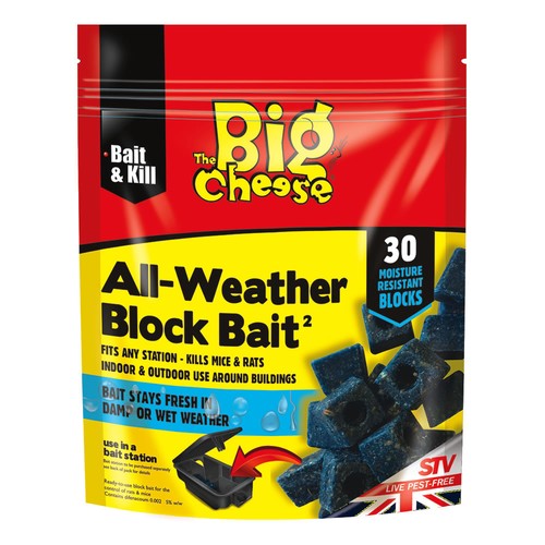 Big cheese all - big, block