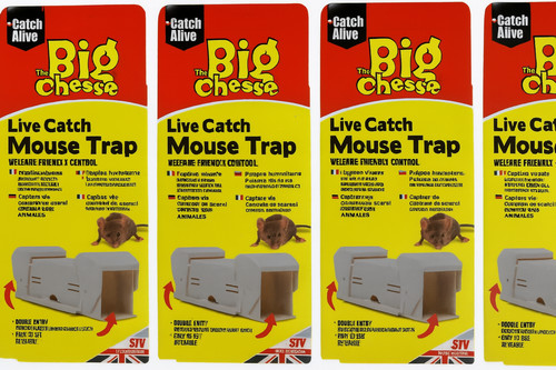 Big cheese live catch mouse - big,
