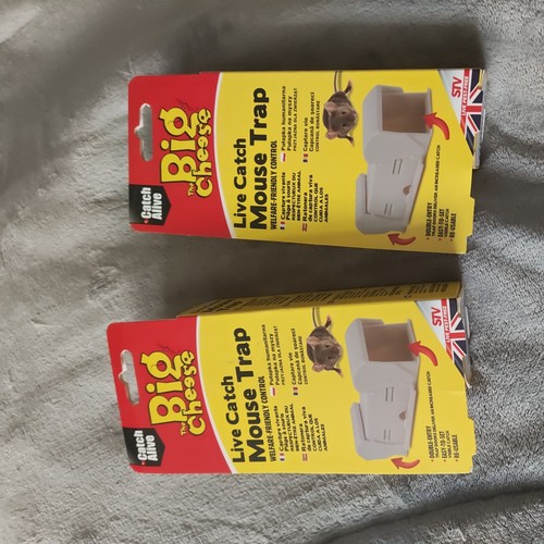Big cheese live - 2x, mouse