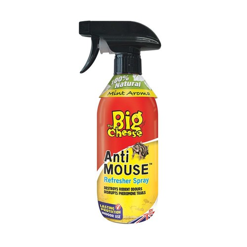 The big cheese anti - big,