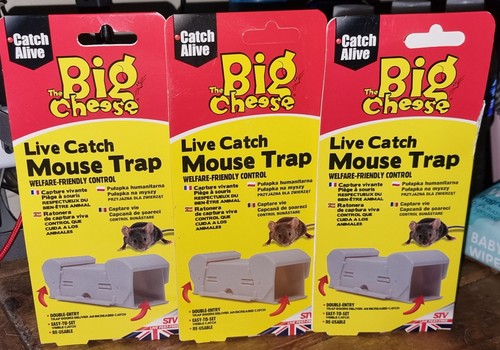 Big cheese live catch - big,