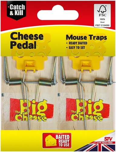 The big cheese pedal fsc - big, mouse