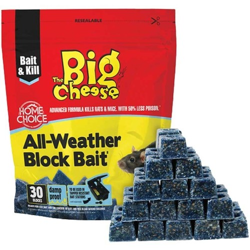 Big cheese professional - cheese,