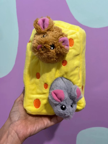 Brand new mouse and - and, pet