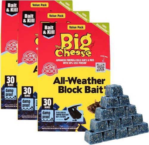 Blocks stv big cheese - blocks,