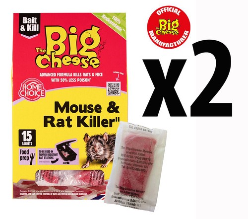 The big cheese - cheese, mouse