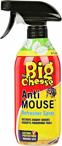 The big cheese - anti, mouse