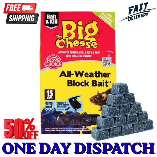 Blocks stv big cheese - big,
