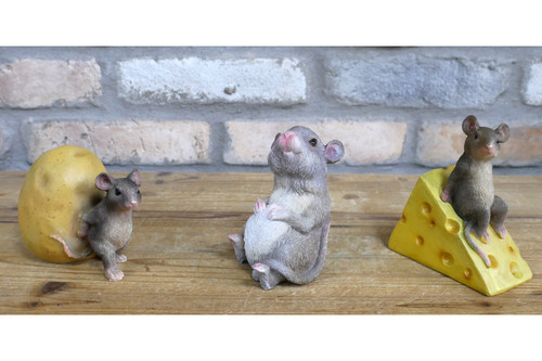 Mouse cheese wedge - mouse, on