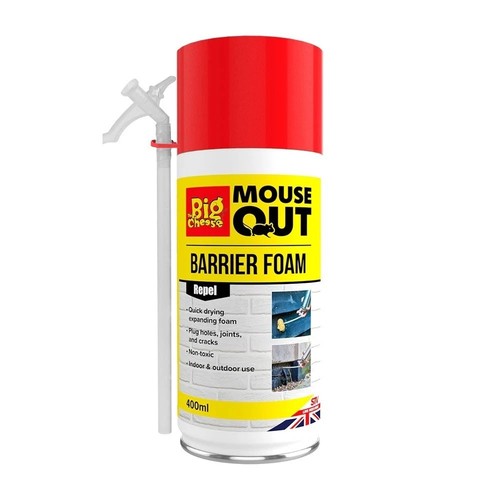 The big cheese - cheese, mouse