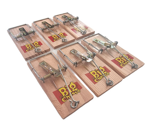 Mouse traps big cheese - 4,