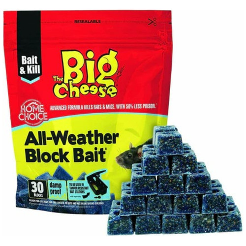 Big cheese professional stv - cheese,