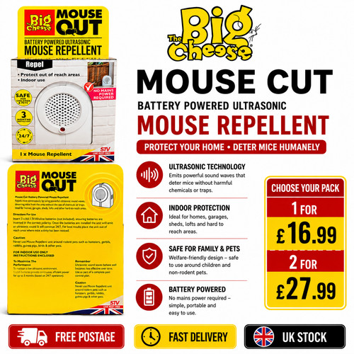 The big cheese mouse - the,