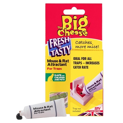 The big cheese - the, mouse
