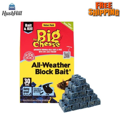 The big cheese all - the, weather