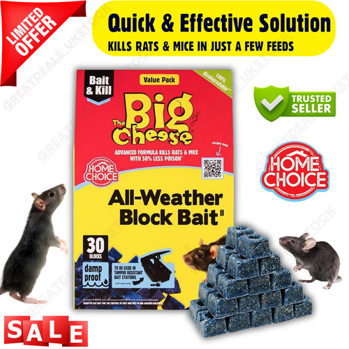 Big cheese professional stv - big,