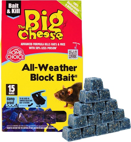 Blocks stv big cheese - blocks,