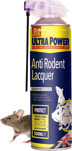The big cheese - power, –