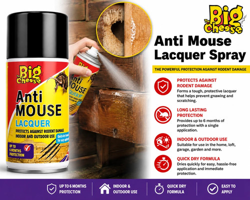 The big cheese anti mouse - cheese,
