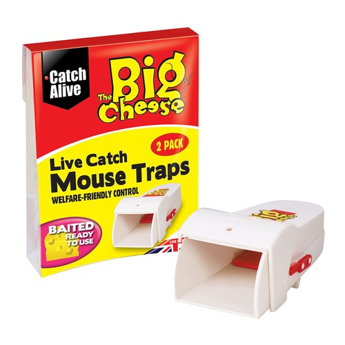 The big cheese live catch - the,