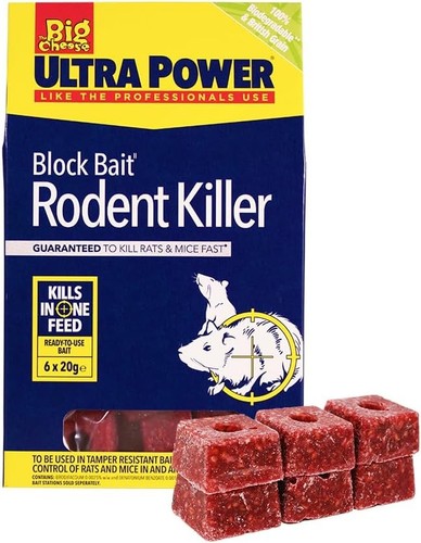 The big cheese mouse - the, rat