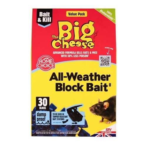 The big cheese rat and - the,